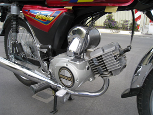 Suzuki / A100 2009 100cc Petrol