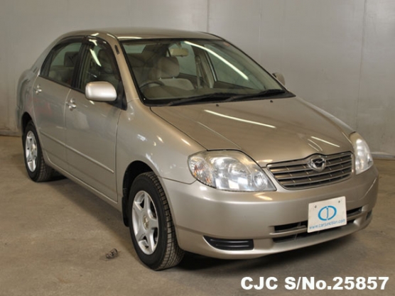 2002 Toyota / Corolla Stock No. 25857