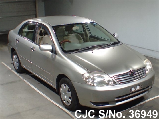 2002 Toyota / Corolla Stock No. 36949