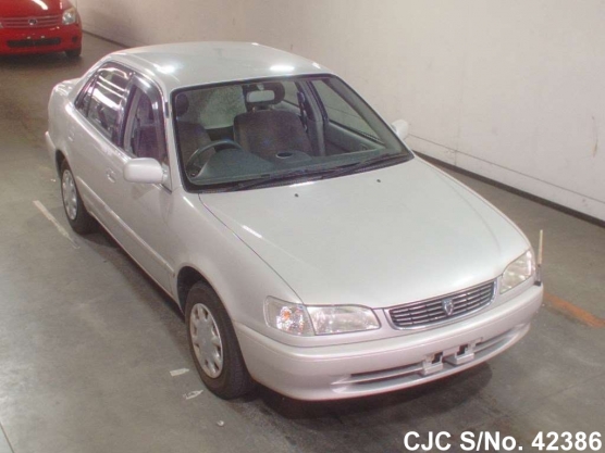 1999 Toyota / Corolla Stock No. 42386