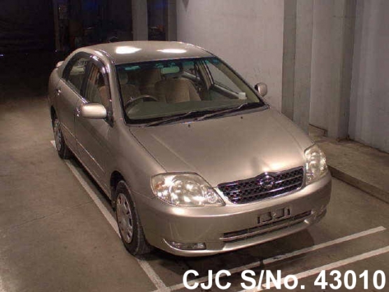 2001 Toyota / Corolla Stock No. 43010