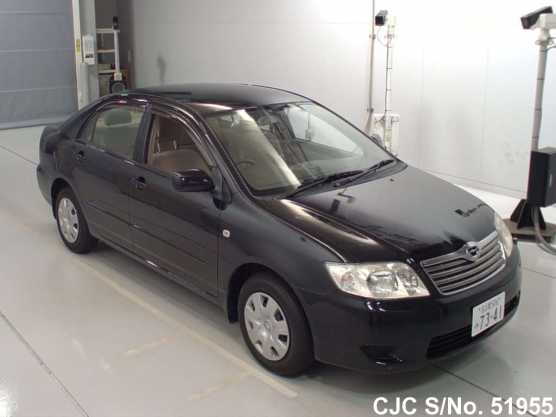 2004 Toyota / Corolla Stock No. 51955
