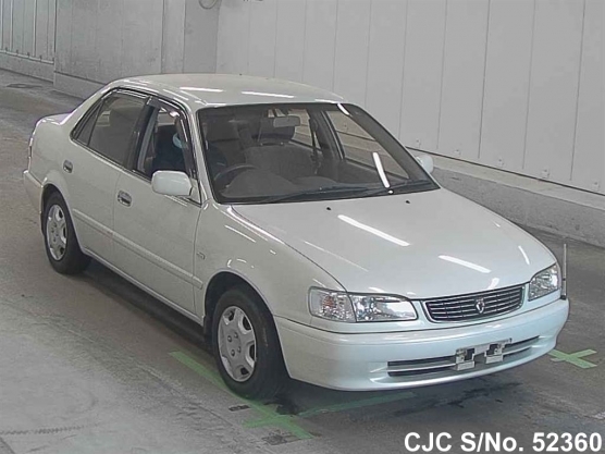 1999 Toyota / Corolla Stock No. 52360