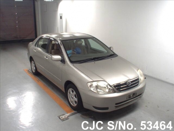 2002 Toyota / Corolla Stock No. 53464