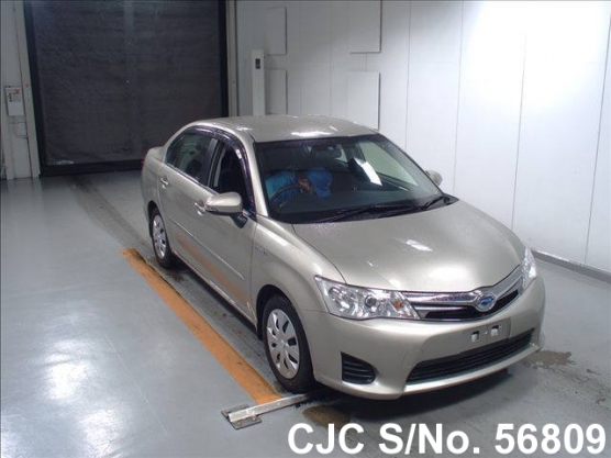 2013 Toyota / Corolla Axio Stock No. 56809