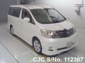 Toyota Alphard in White for Sale Image 3
