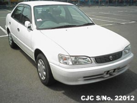 1999 Toyota / Corolla Stock No. 22012