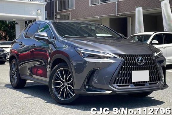 Lexus NX 250 in Gray for Sale Image 0