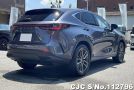 Lexus NX 250 in Gray for Sale Image 1