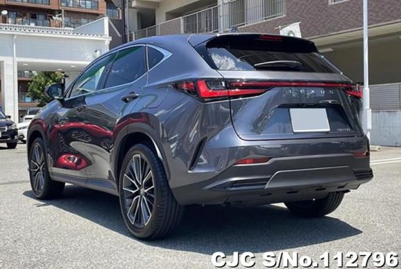 Lexus NX 250 in Gray for Sale Image 2