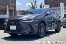 Lexus NX 250 in Gray for Sale Image 3