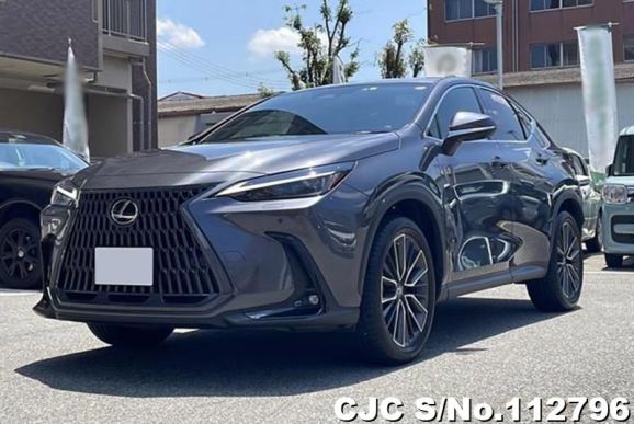 Lexus NX 250 in Gray for Sale Image 3