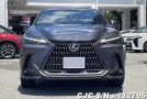 Lexus NX 250 in Gray for Sale Image 4
