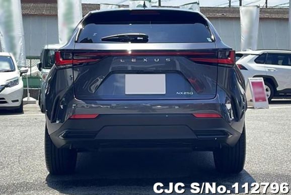 Lexus NX 250 in Gray for Sale Image 5
