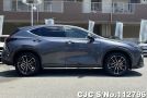 Lexus NX 250 in Gray for Sale Image 6