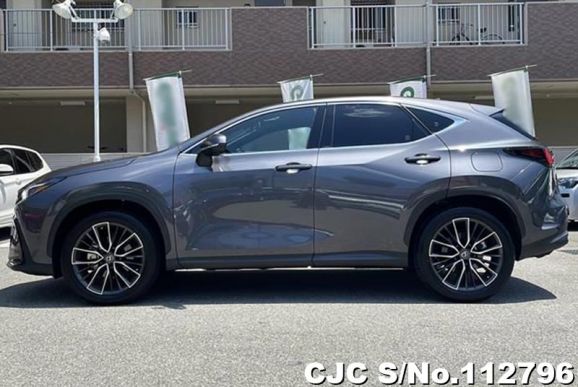 Lexus NX 250 in Gray for Sale Image 7