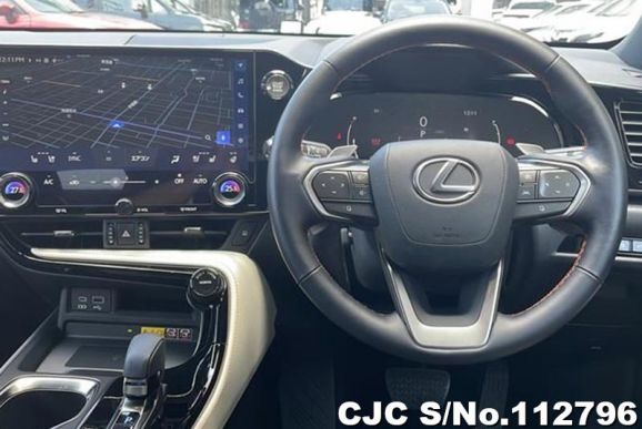 Lexus NX 250 in Gray for Sale Image 9