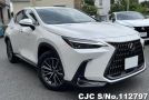 Lexus NX 250 in Pearl for Sale Image 0