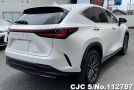 Lexus NX 250 in Pearl for Sale Image 1
