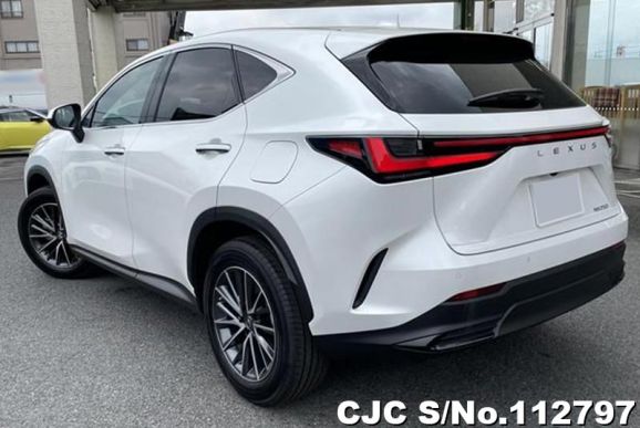 Lexus NX 250 in Pearl for Sale Image 2
