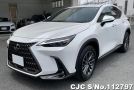Lexus NX 250 in Pearl for Sale Image 3