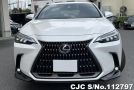 Lexus NX 250 in Pearl for Sale Image 4