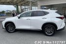 Lexus NX 250 in Pearl for Sale Image 6