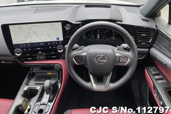 Lexus NX 250 in Pearl for Sale Image 8