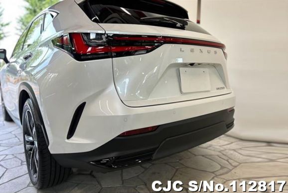 Lexus NX 250 in White for Sale Image 1