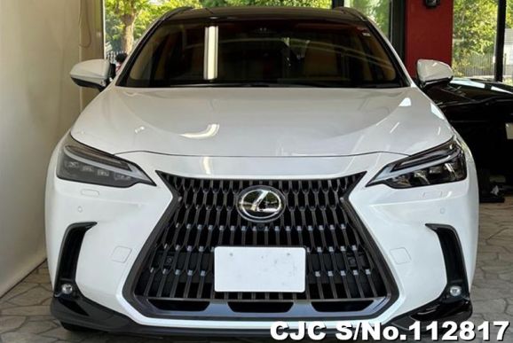 Lexus NX 250 in White for Sale Image 2