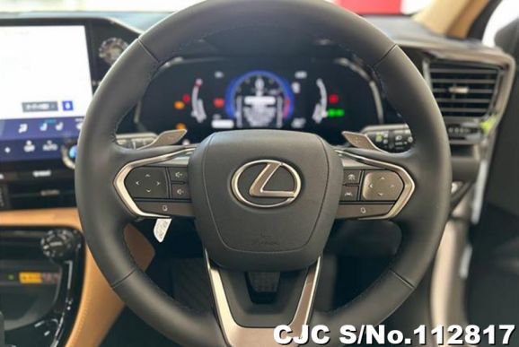 Lexus NX 250 in White for Sale Image 14