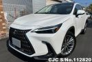 Lexus NX 250 in  for Sale Image 0