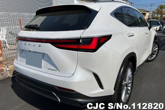 Lexus NX 250 in  for Sale Image 1