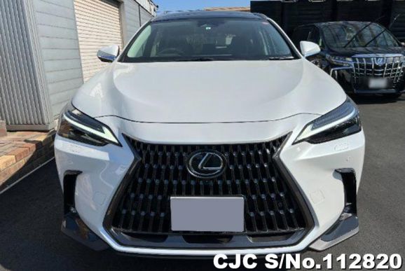 Lexus NX 250 in  for Sale Image 2