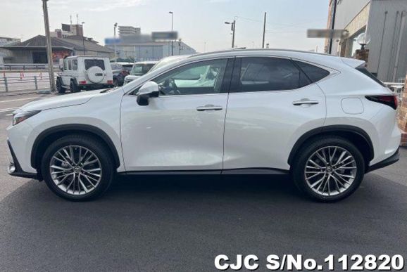 Lexus NX 250 in  for Sale Image 3