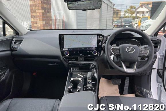 Lexus NX 250 in  for Sale Image 4