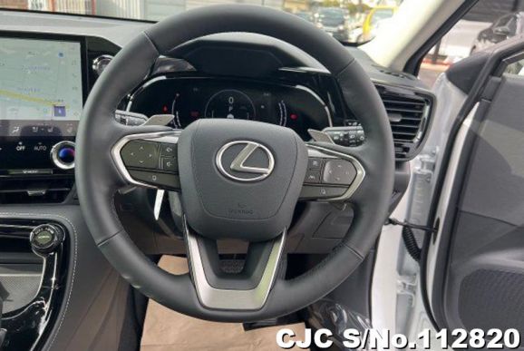 Lexus NX 250 in  for Sale Image 7