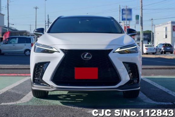 Lexus NX 350H in White for Sale Image 4