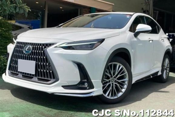 Lexus NX 350H in Pearl for Sale Image 2