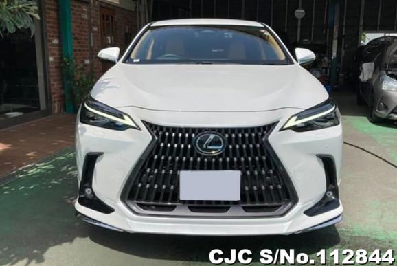 Lexus NX 350H in Pearl for Sale Image 3