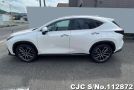 Lexus NX 350H in Pearl for Sale Image 7