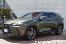 Lexus NX 450h in Green for Sale Image 0