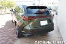 Lexus NX 450h in Green for Sale Image 1