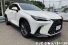 Lexus NX 250 in White for Sale Image 0