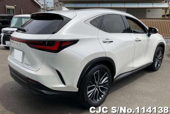 Lexus NX 250 in White for Sale Image 2
