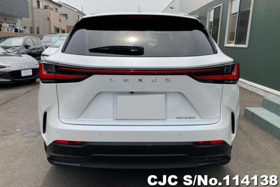 Lexus NX 250 in White for Sale Image 5