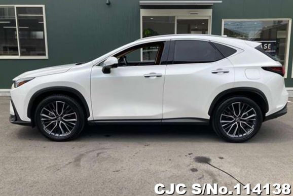 Lexus NX 250 in White for Sale Image 7