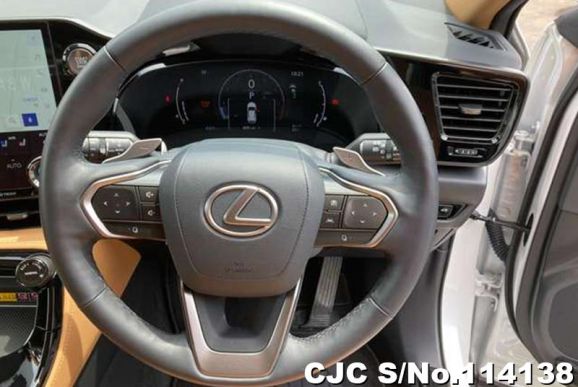 Lexus NX 250 in White for Sale Image 16
