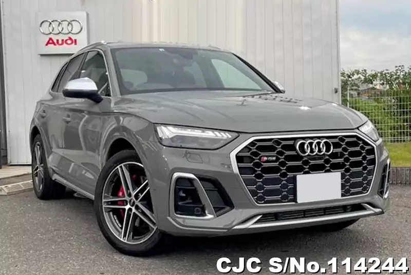 Audi / SQ5 2022