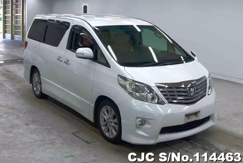 Toyota / Alphard 2010